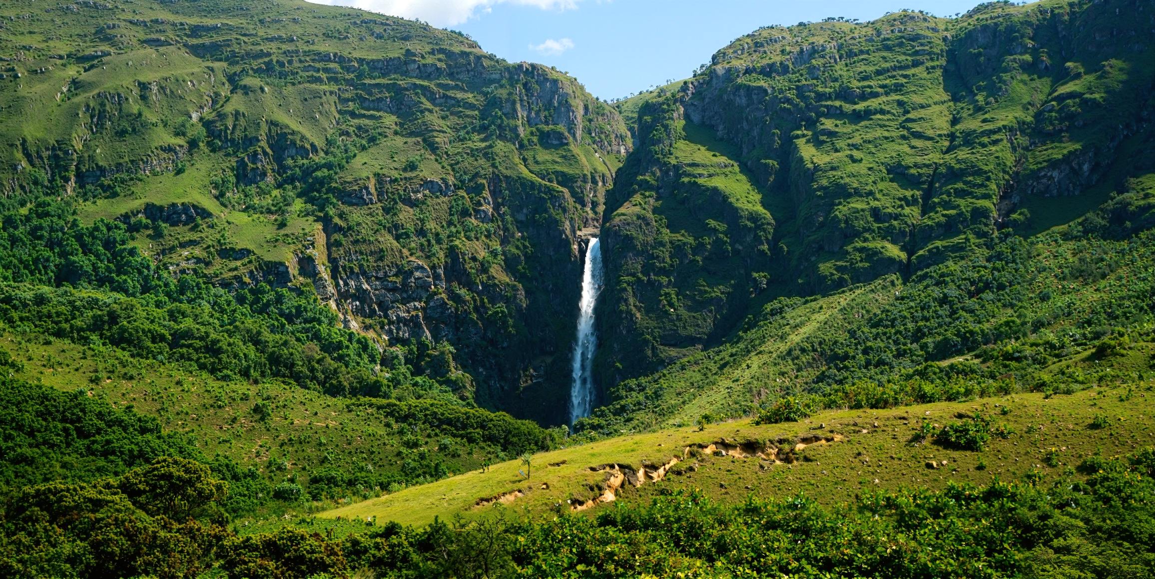 Serra da Canastra - Terroir único para café especial